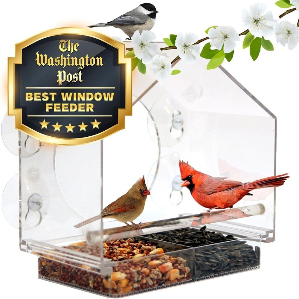 Window Bird Feeder by - Transparent Acrylic Bird Feeders for Outdoors - Enhanced